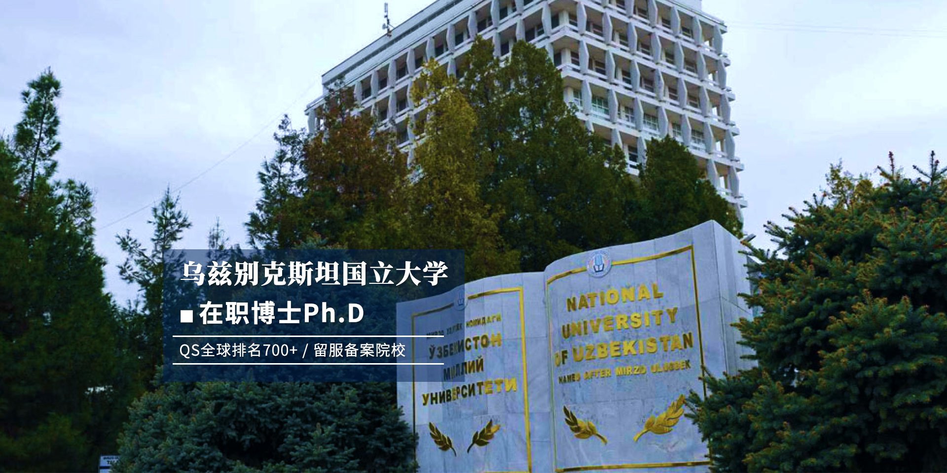 国际硕士