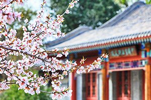 国内硕士
