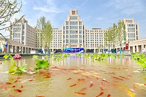 什么是985大学